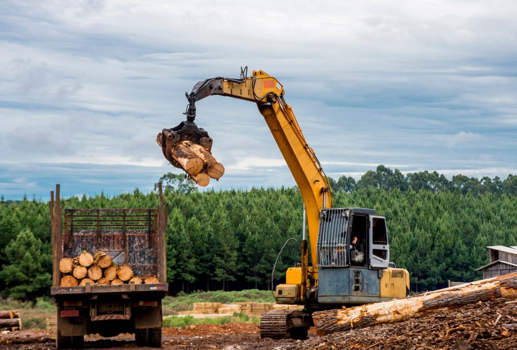 A yellow excavator lifts logs to load them onto a truck at a logging site, with a dense forest and cloudy sky in the background.